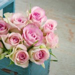 Roses In An Old Blue Wooden Basket