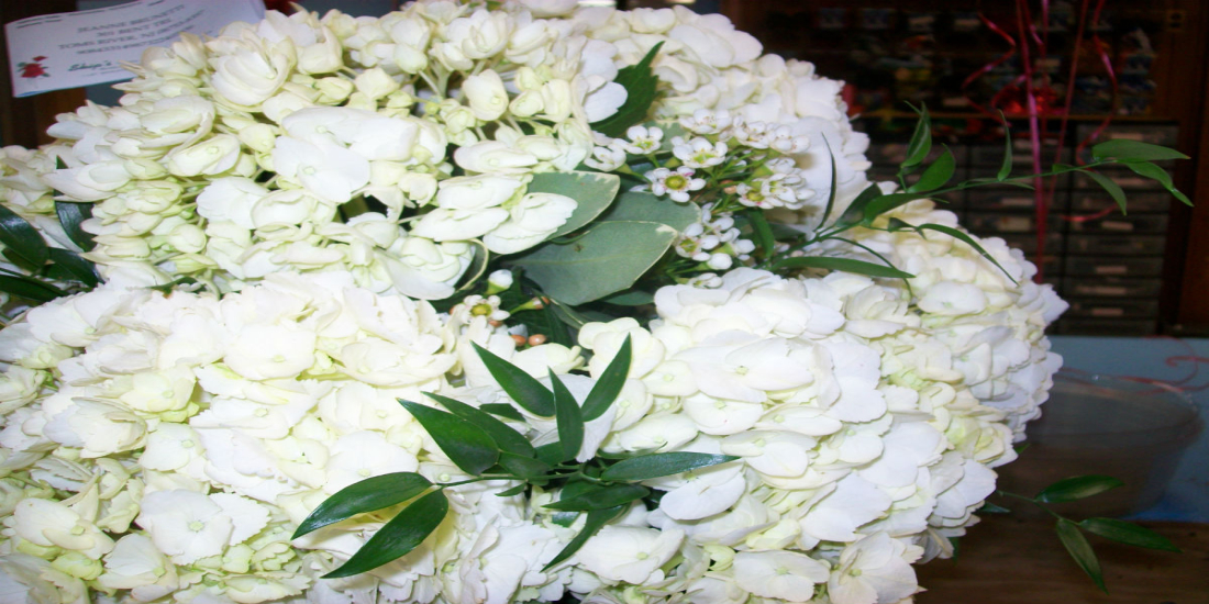 Skip’s Toms River Florist: A Brief History Skip’s Toms River Florist: A Brief History