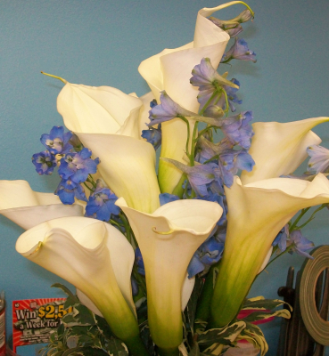 White Wedding Flowers
