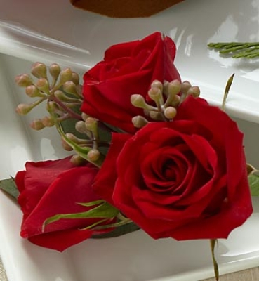 Rose Boutonniere