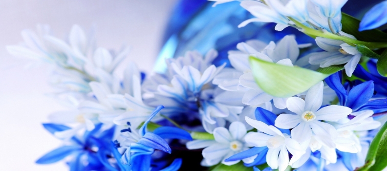 Toms River Florist Provides Perfect Flower Decorations to Celebrate Hanukkah
