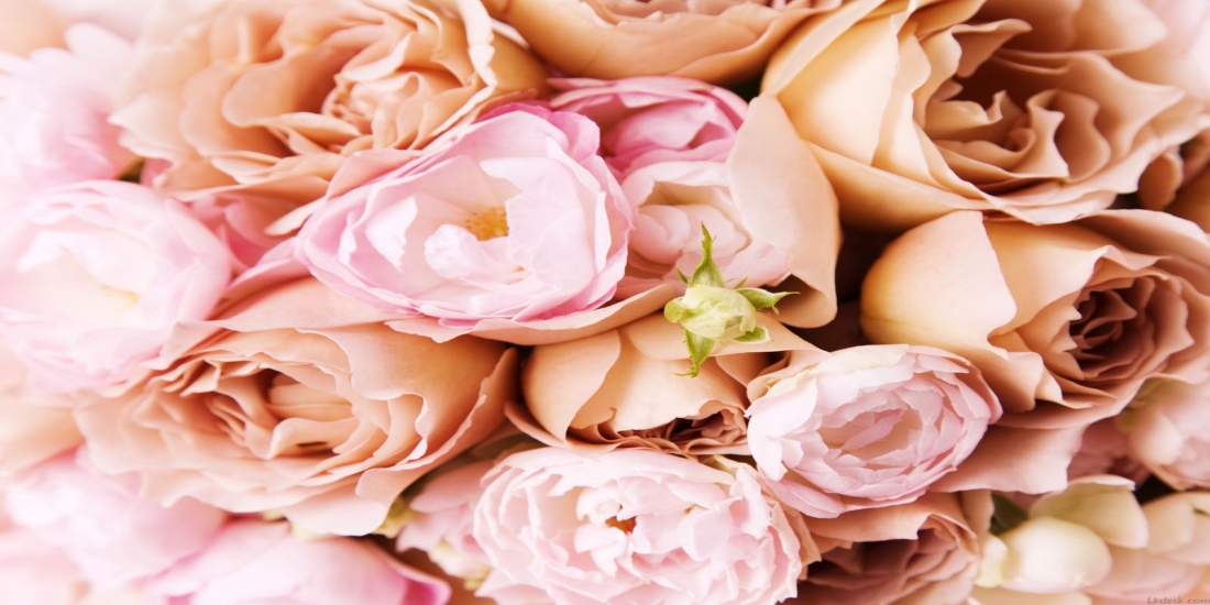 7 Top Ways to Save Money on Your Wedding Flowers with a Toms River Florist 7 Top Ways to Save Money on Your Wedding Flowers with a Toms River Florist