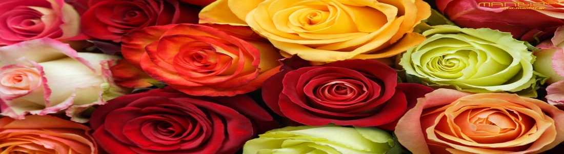 The Meaning Behind Valentine’s Day Roses